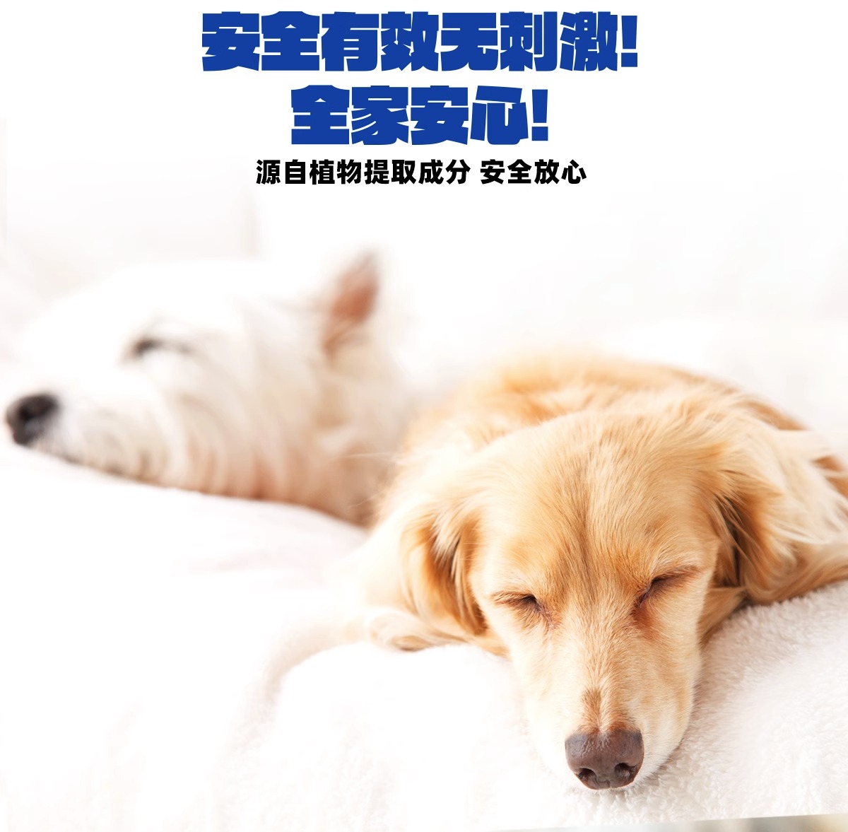 【妮可露】Nikoro宠物除臭剂除臭喷雾猫咪狗狗用除味剂抑菌除菌消毒液 12