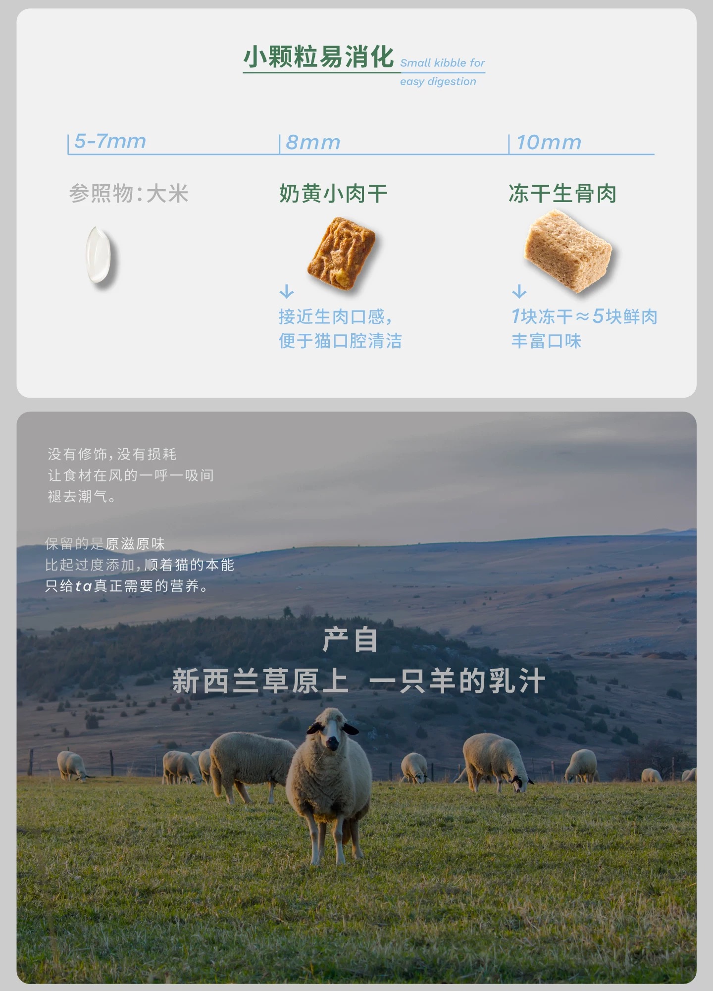 起源原生全食风干粮冻干双拼全价猫粮成猫幼猫鸡肉鸽肉1.3kg 8