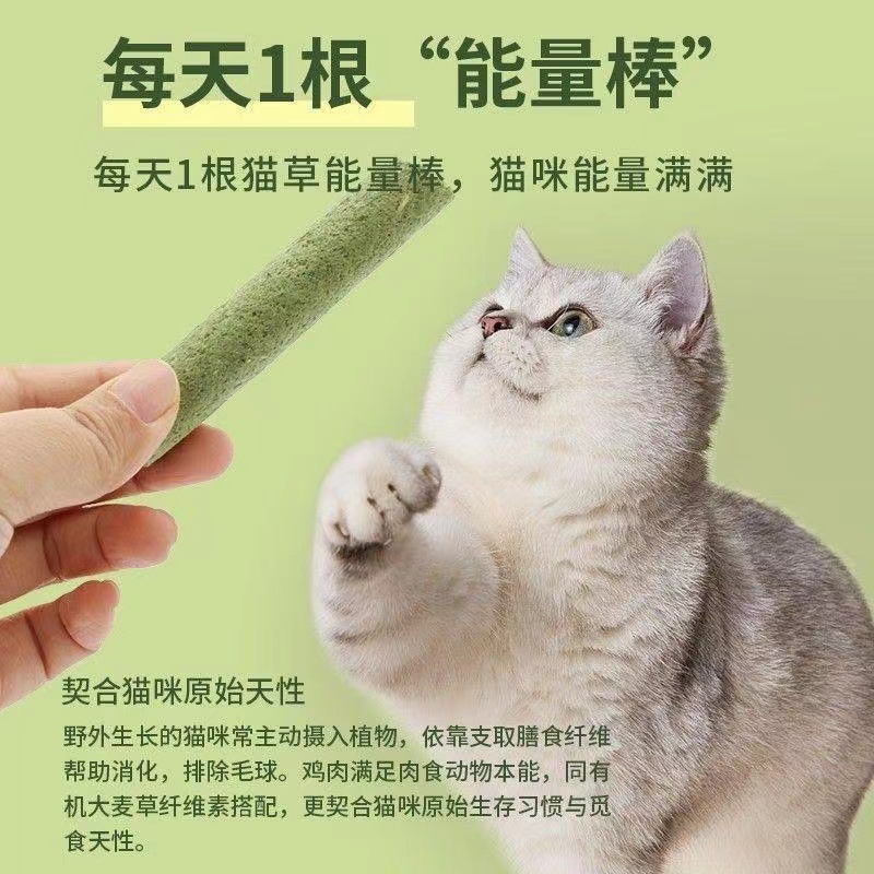 冻干猫草棒 4