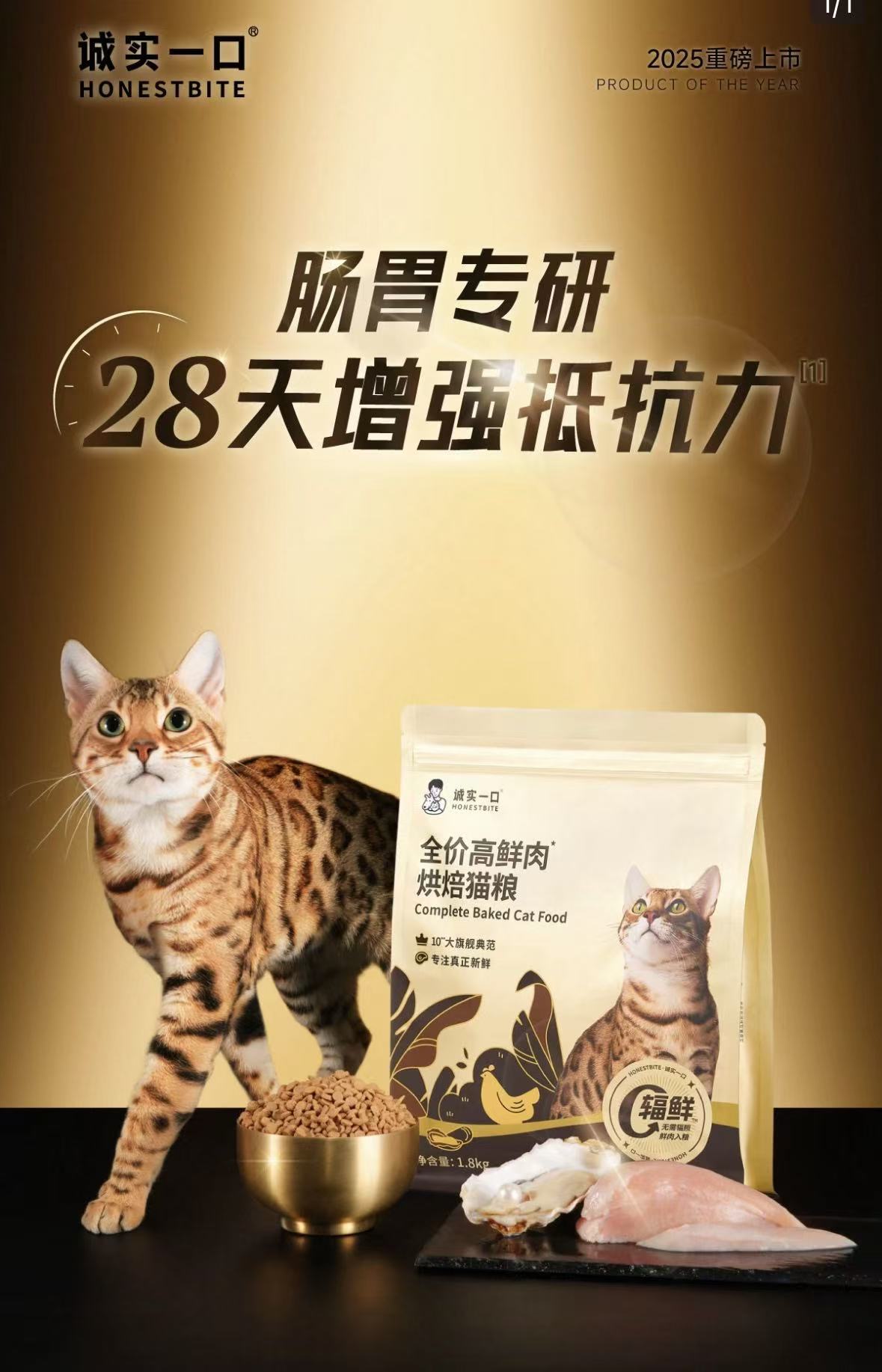 诚实一口高鲜肉黑金烘焙猫粮肠胃消化成猫鸡肉全价通用型