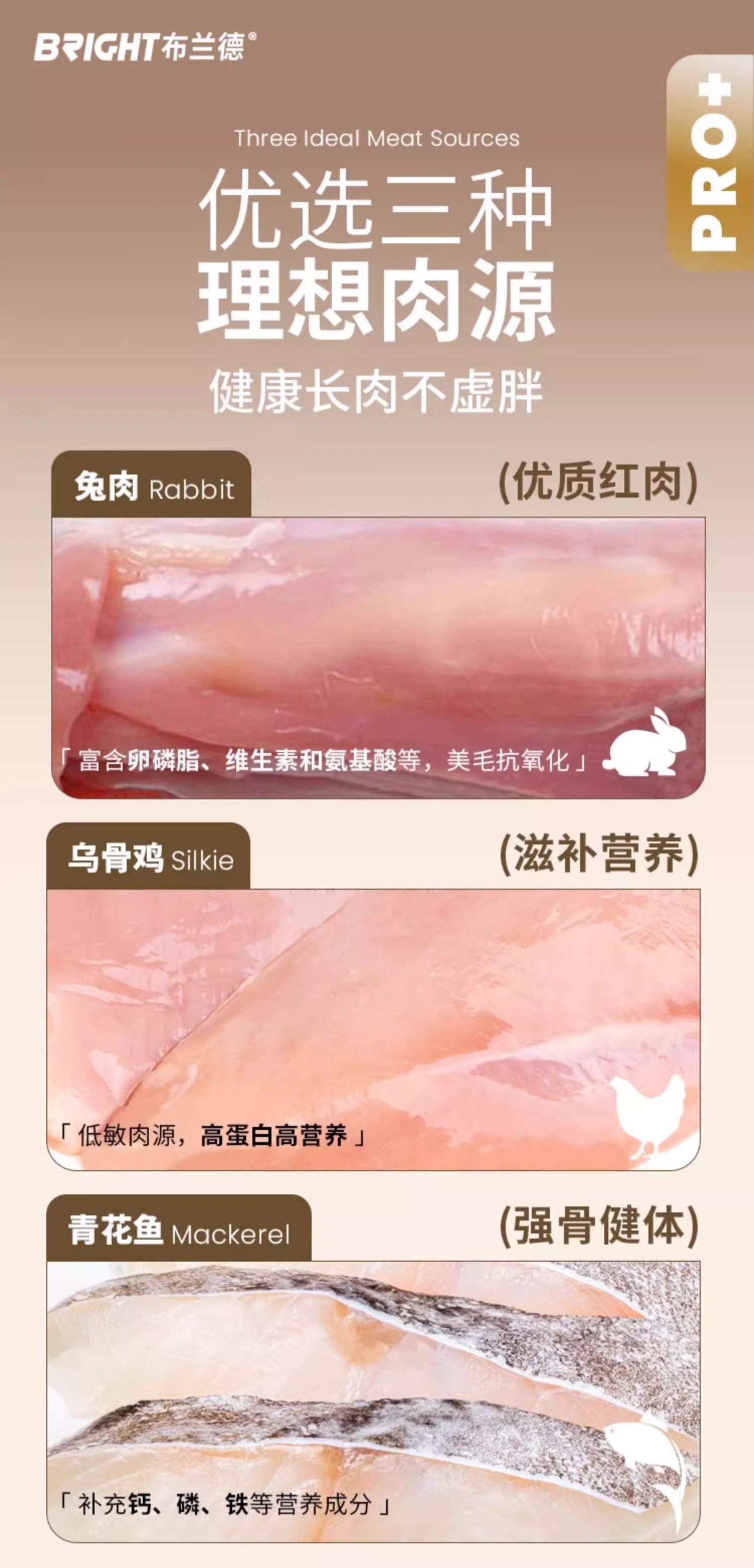 【布兰德】BRIGHT布兰德Pro小金包全价主食湿粮软罐头40g*12包/盒成幼猫通用营养餐包 6