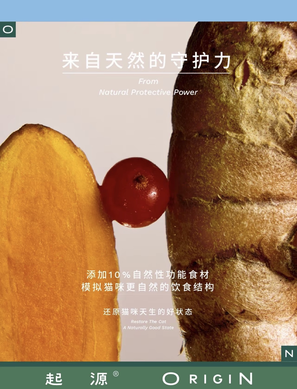 起源原生全食风干粮冻干双拼全价猫粮成猫幼猫鸡肉鸽肉1.3kg 10