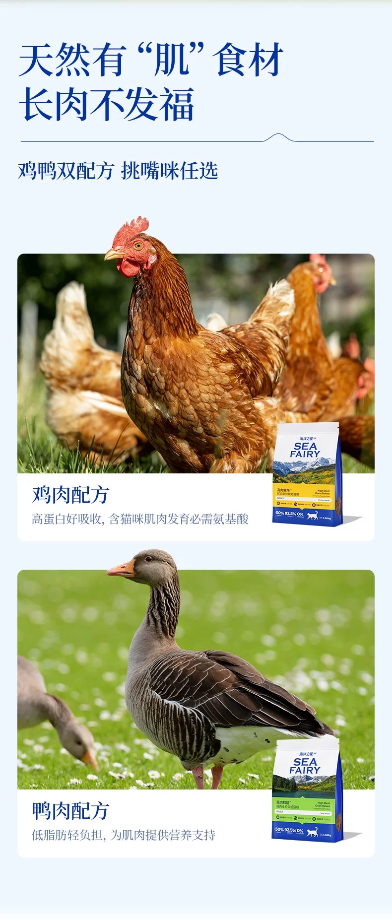海洋之星臻越高肉鲜焙全价烘焙猫粮鸡肉鸭肉配方增肥发腮长肉增肌 4