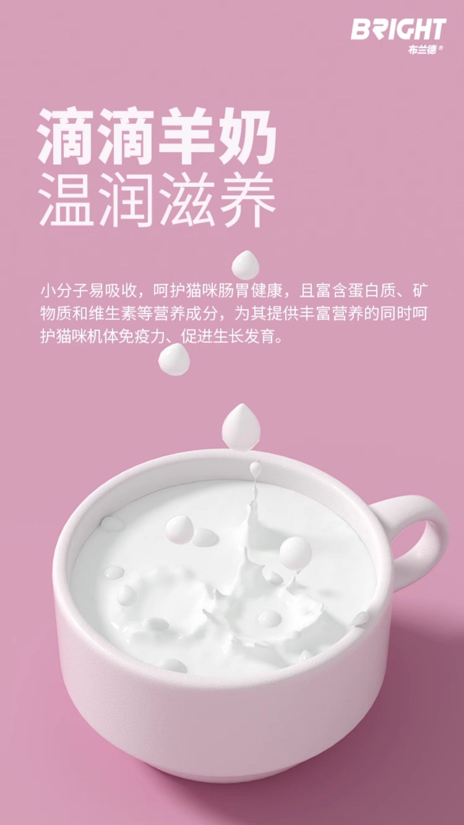 【布兰德】BRIGHT布兰德软罐头全价奶糕包主食罐羊奶增肥小猫孕猫幼猫80g*4 3