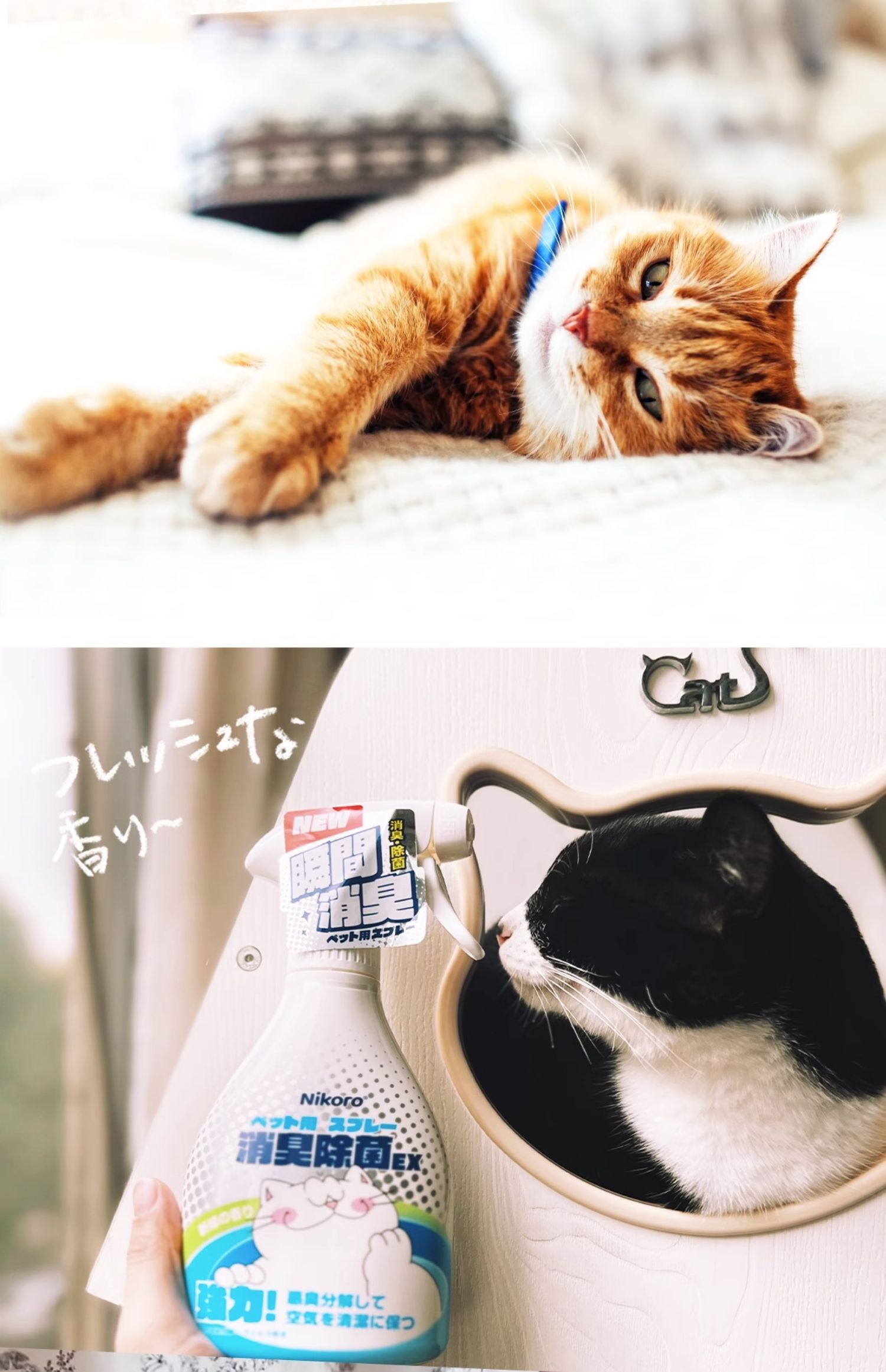【妮可露】Nikoro宠物除臭剂除臭喷雾猫咪狗狗用除味剂抑菌除菌消毒液 13