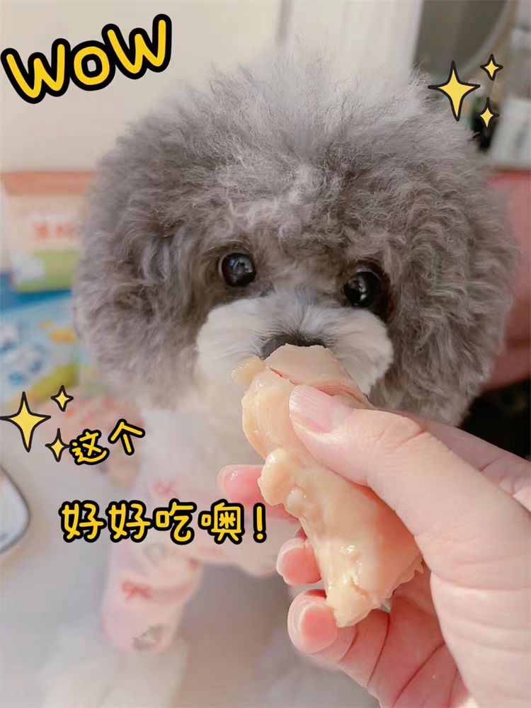 店长推荐【贝能星】宠物零食鸡胸肉呵护肠胃美毛护肤鱼油鸡肉健康加倍 6