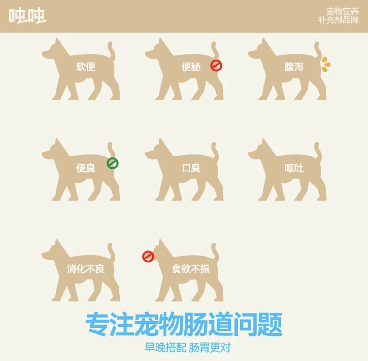 【dundun】昼夜益生菌搭档-宠物猫狗调理肠胃拉肚子软便益生菌 4