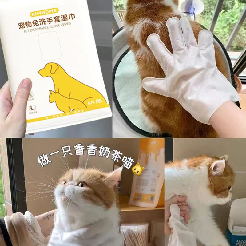 宠物免洗手套 3